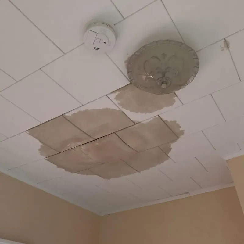 Ceiling Water Damage Repair in Foxborough, MA