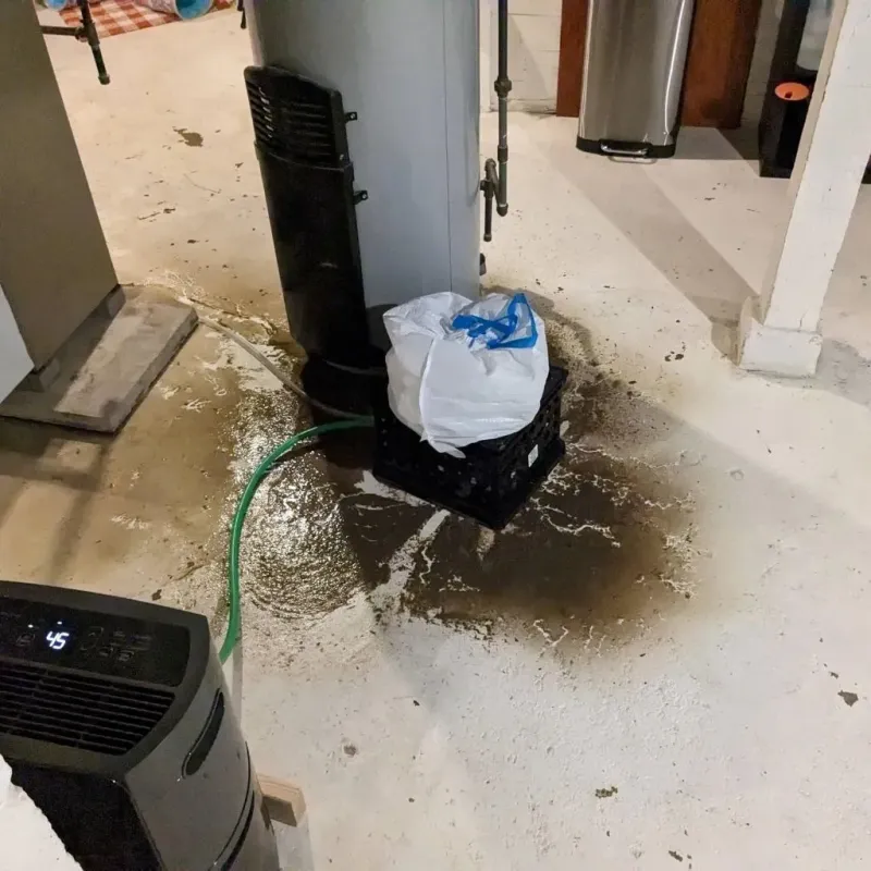 Sewage Backup Cleanup Service in Foxborough, MA